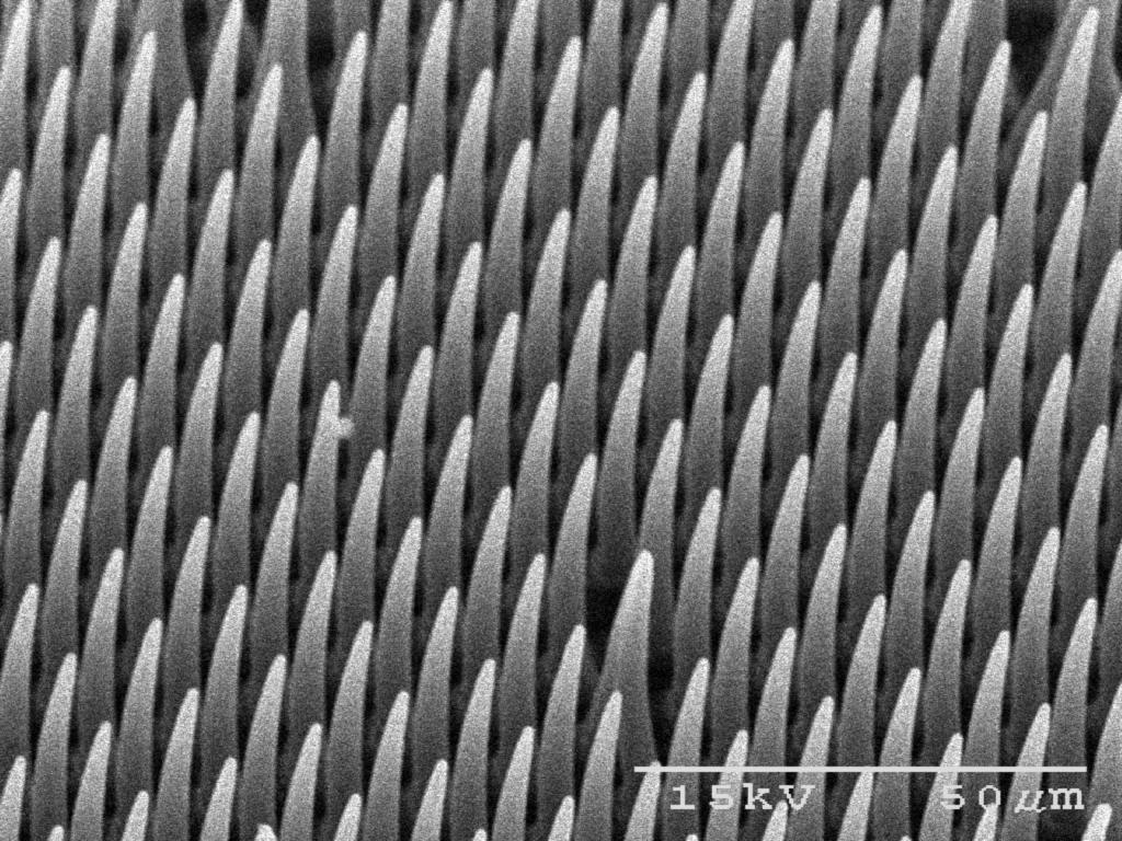 (2 GPa) 2 micron fibers 1:20 aspect ratio
