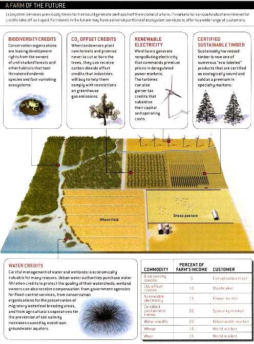 Scientific American s Vision of the Future Farm Scientific American,