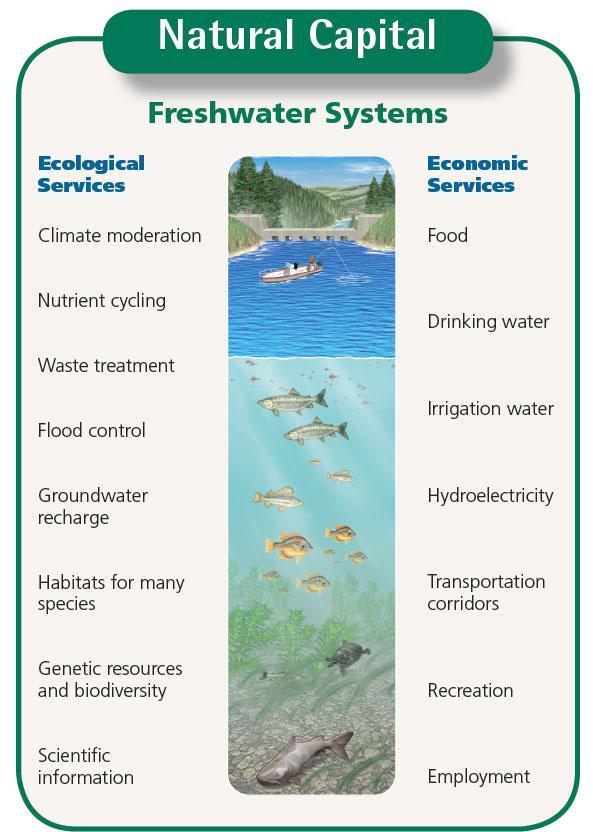 Major Ecological and Economic Services