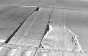 This research shows the result of experiment the effects of using different base courses material on rigid pavement strengths. Figure 1. Crack of rigid pavement caused base Source: Jung [2] 2.