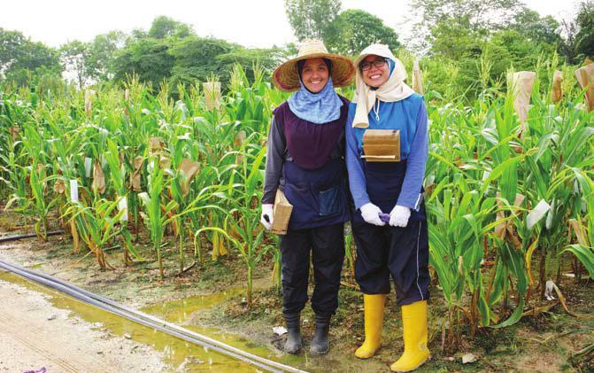 Two interns training at the farm charantia). Some crops are grown in the open but crops that need to be sheltered from rain are grown in plant houses.