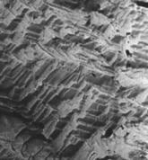 have radial (fanlike) ridges emanating from fracture origin or very smooth surface
