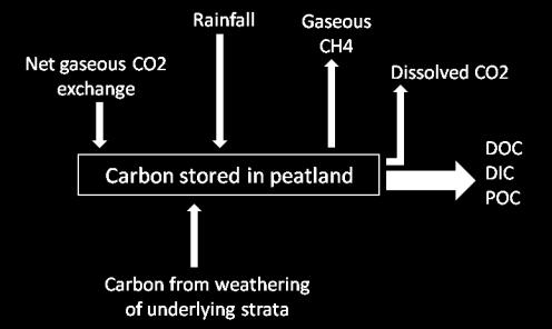factors, but the dominant controls are groundwater table position, the peat water chemistry, the plant communities and temperature.