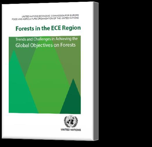 Progress of the forest sector in the ECE Region towards the