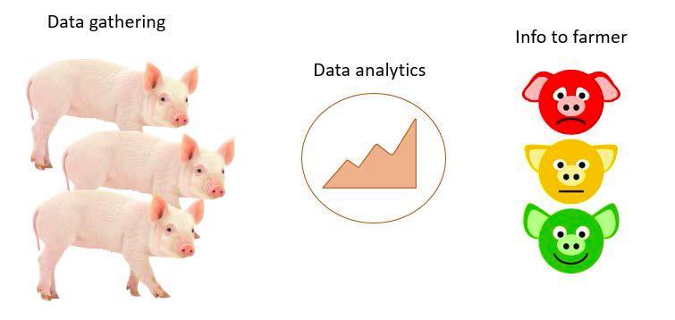 Objective Provide the pig farmers with crucial information to effectively