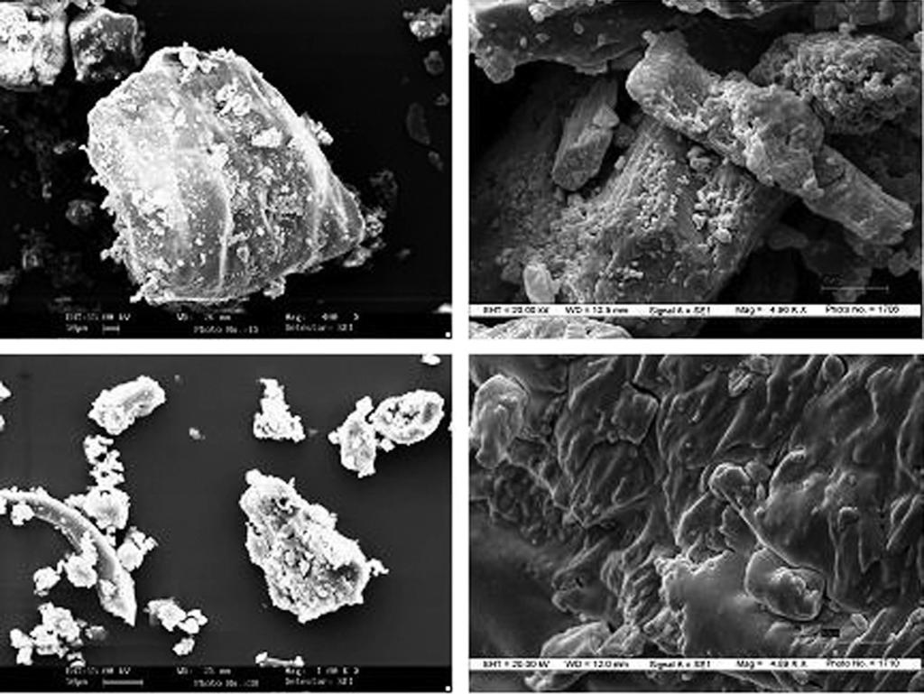 a b c Figure 5: SEM images of (a) aceclofenac (b) PEG 6000 (c) physical mixture of AC:PEG 6000 (1:2) and (d) solid dispersion of AC:PEG 6000 (1:2) d Table 5: Results for official tests of tablets