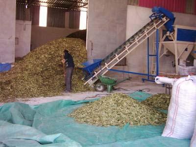Residues left over the field after agricultural production. Cereal straw is used for various purposes such as animal feeding and animal bedding.