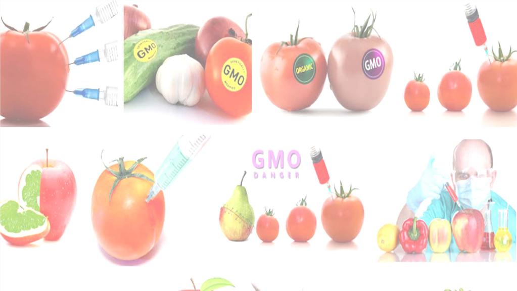 GMO Myths MYTH GMOs aren t tested/aren t safe. GMO seeds are forced on farmers.