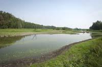 Manipulation of water levels in wetland communities of marsh and open water enhances the