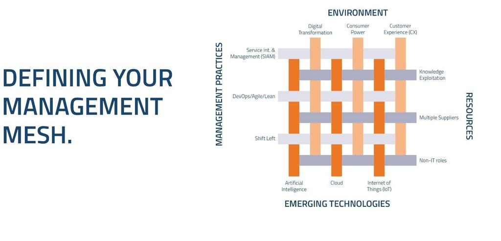 The Management Mesh as described in VeriSM can be applied to get the right mix of resources, management practices, environment and emerging technologies, to support the development and optimization