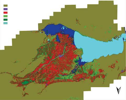606 C. Hong et al. industry land, water area and wetland were relatively big, about %.