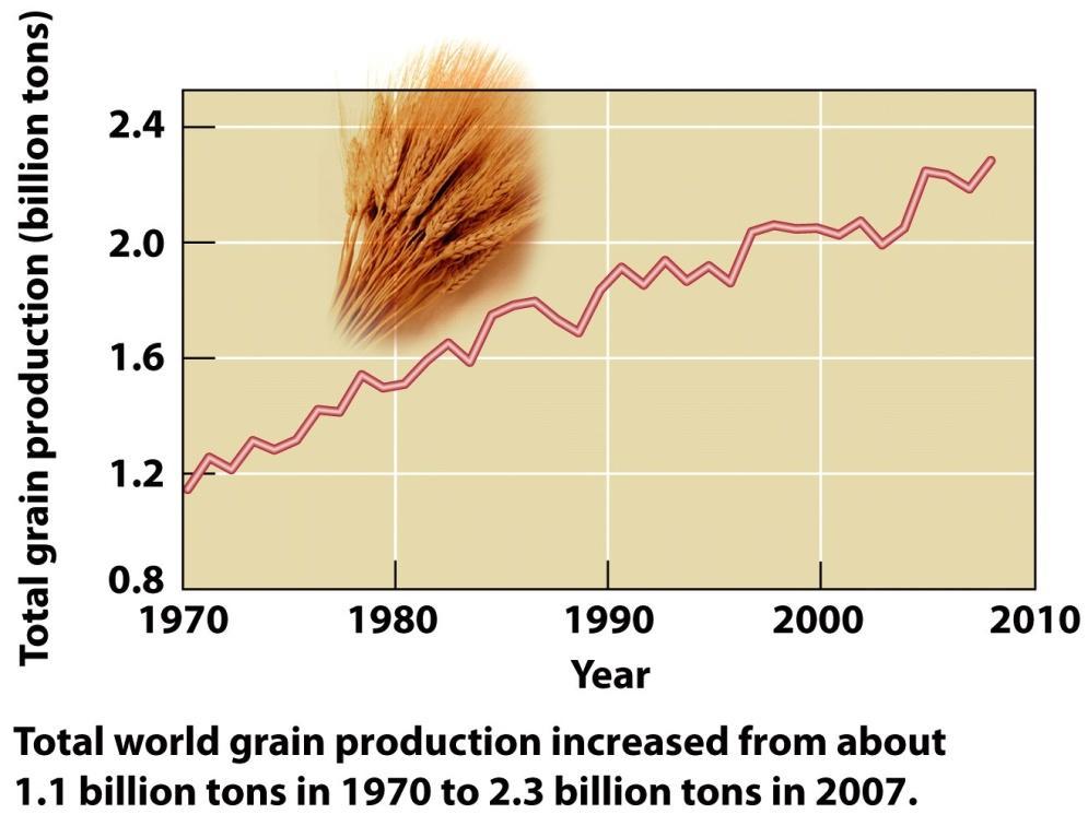 World Food Security Feeding growing