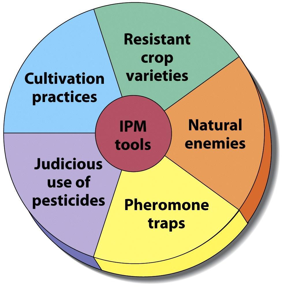 IPM Systems Approach - Integrated Pest Management (IPM)