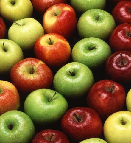 Organic Apple Varieties Washington State Acres Trend Photo: ARS Acres 4,000 3,000 2,000 Certified GRANNY SMITH Transition 4,000 3,000 2,000 CRIPPS PINK Certified Transition