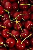 Organic Cherry Acreage Washington State (sweet + tart) 2,500 2,000 2,437 2,046 1,500 Acres 1,000 500 0 98 99 00 01 02 03 04 05 06 07 08 09 10 11 12 13 14 15