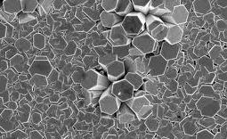 This indicates that the formation of flower like nanostructures is not due to aggregation. Fig. 4 (a): SEM Micrographs of zinc oxide Fig.