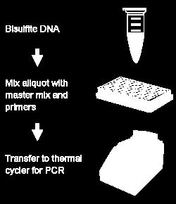 Schematic procedure for using the EpiQuik Quantitative PCR Fast Kit. PROTOCOL Prepare the PCR Reactions 1.