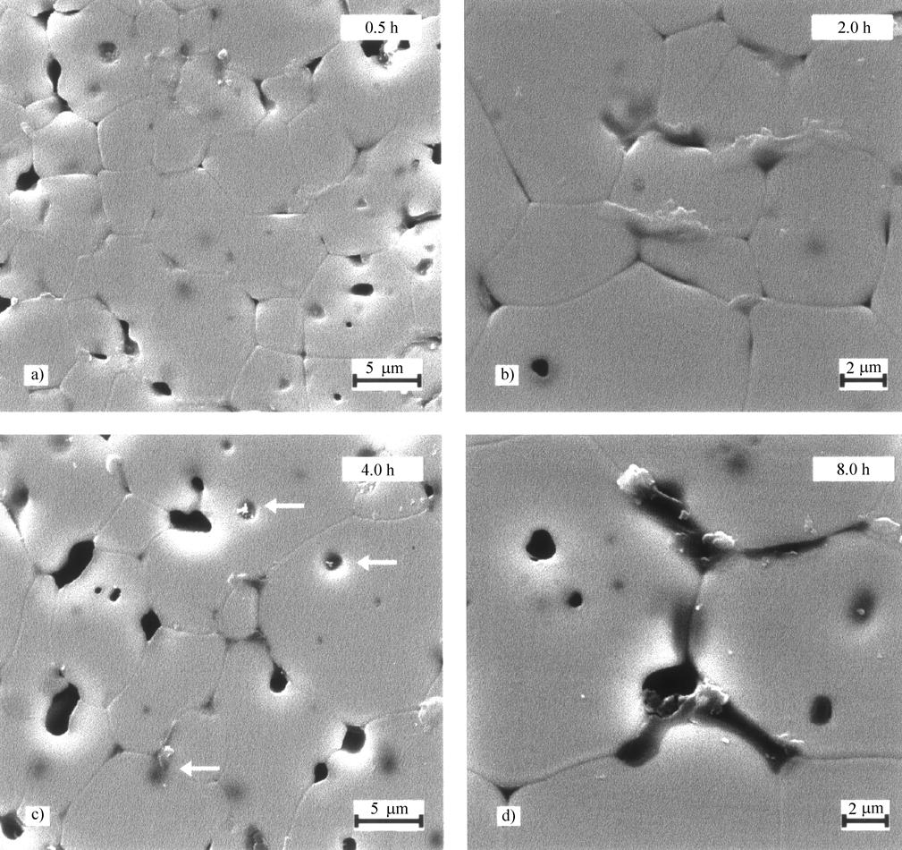 Vol. 2, No. 3, 1999 Rare Earths on the Sintering of Zirconia-Yttria 215 Figure 8. ZYLYb microstructure evolution with sintering time at 1500 C. Figure 9. Grain growth with sintering time at 1500 C.