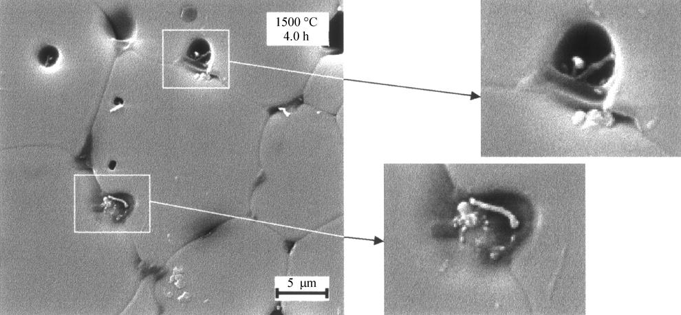 216 Canova et al. Materials Research Figure 10. Part of Fig. 8C with large magnification showing pore full of glass. Part of the glass is crystallized.