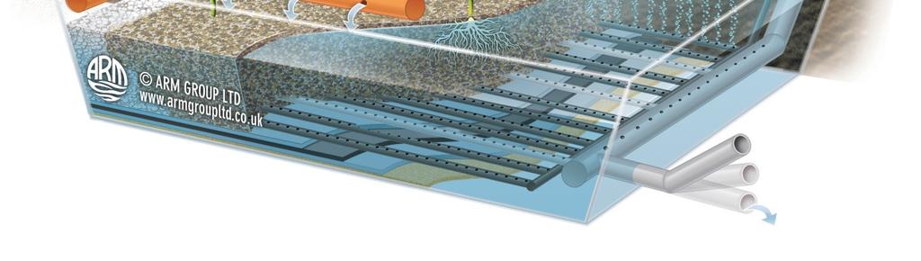 As opposed to horizontal flow systems, which receive flows and loads along one narrow edge, the vertical flow system distributes the effluent across the whole surface area of the reed bed resulting