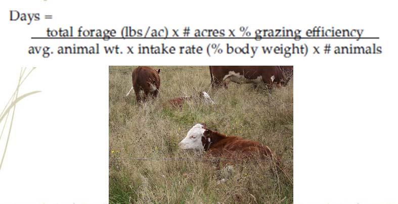 Grazing Management Strip grazing is the recommended method to obtain a better return.