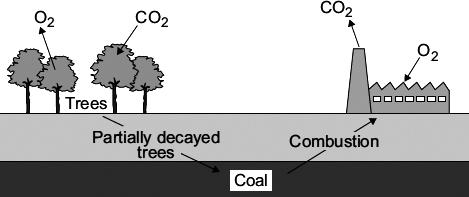 Q2. About 3000 million years ago carbon dioxide was one of the main gases in the Earth s early atmosphere. About 400 million years ago plants and trees grew on most of the land.