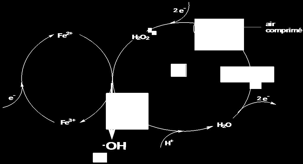 H 2 O 2 tạo thành sẽ phản ứng với Fe 2+.