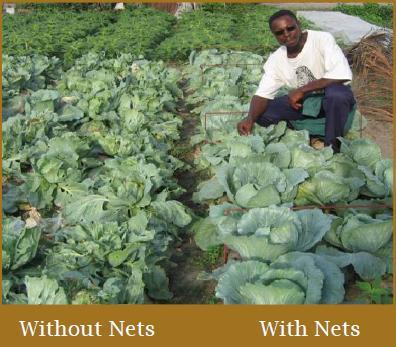 to implement nets into an Integrated Pest