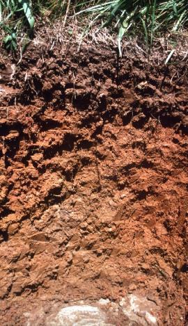Soil Composition Generally, soils high in