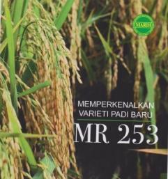 VARIETY MR 253 Characteristic MR 253 MR 219 Agronomy Maturation (hari) Plant height (cm) Panicle length(cm) Grain Lenght (mm) wide