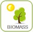 into gas and biochar The business opportunity: Renewable energy and biochar products from