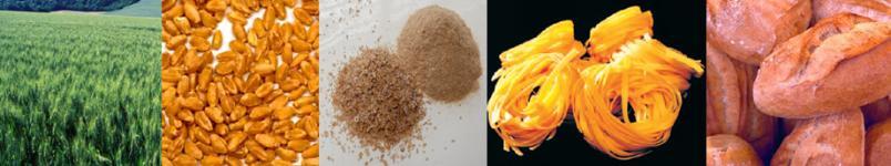 Technological ways for better quality and safety Milling process strongly influences flour characteristics.