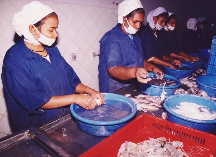WORKERS IN SELECTED FOOD PROCESSING INDUSTRIES INCLUDING SEA FOOD AND MARINE