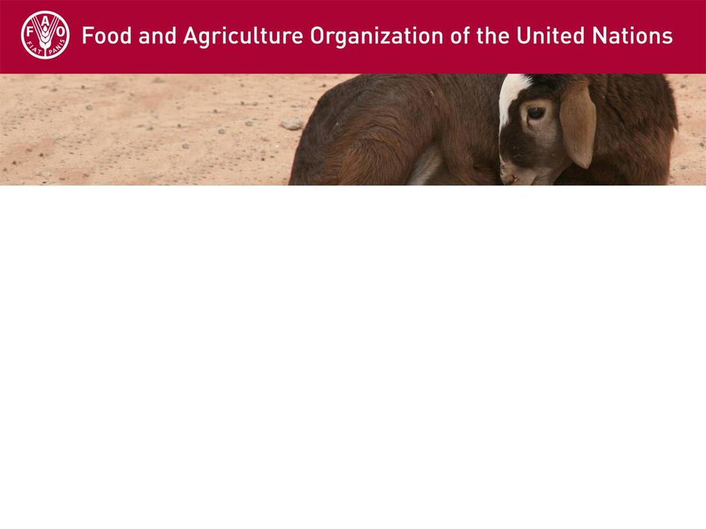 Animal identification for traceability and performance recording : FAO's multipurpose and integrated approach B.