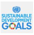 Global consensus building and standardisation process SDG Definition of