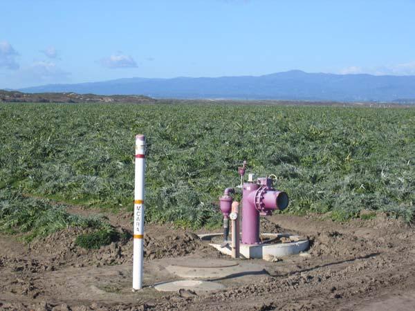 for irrigated crops Irrigates 12,000