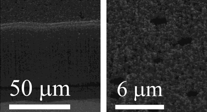 Fig. 1: SEM images of CNT film highlighting the nonuniformity in the surface of the CNT film. SEM images courtesy of Xidex Corporation.