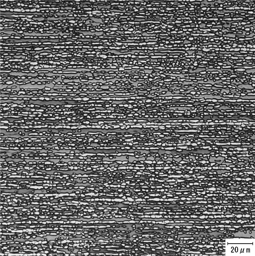 5 Optical microstructures on the longitudinal section of ﬁnal annealed sheets with (a) 67%, (b) 78%, and (c) 89% cold-rolling reductions.