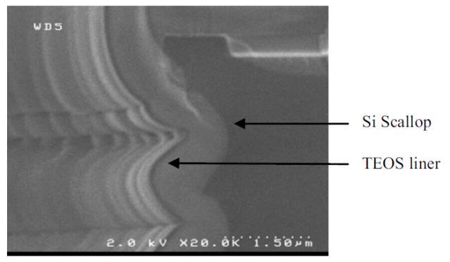 Seed-Layer (Cu) 600 nm Etched Si (Bosch