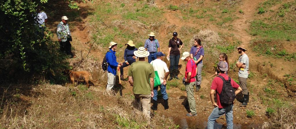COURSE REPORT Ecological Restoration Strategies for Cattle Ranching Landscapes of the Azuero ELTI Focal Training Sites District of Pedasi, Province of Los Santos September 25-30, 2016 A field course