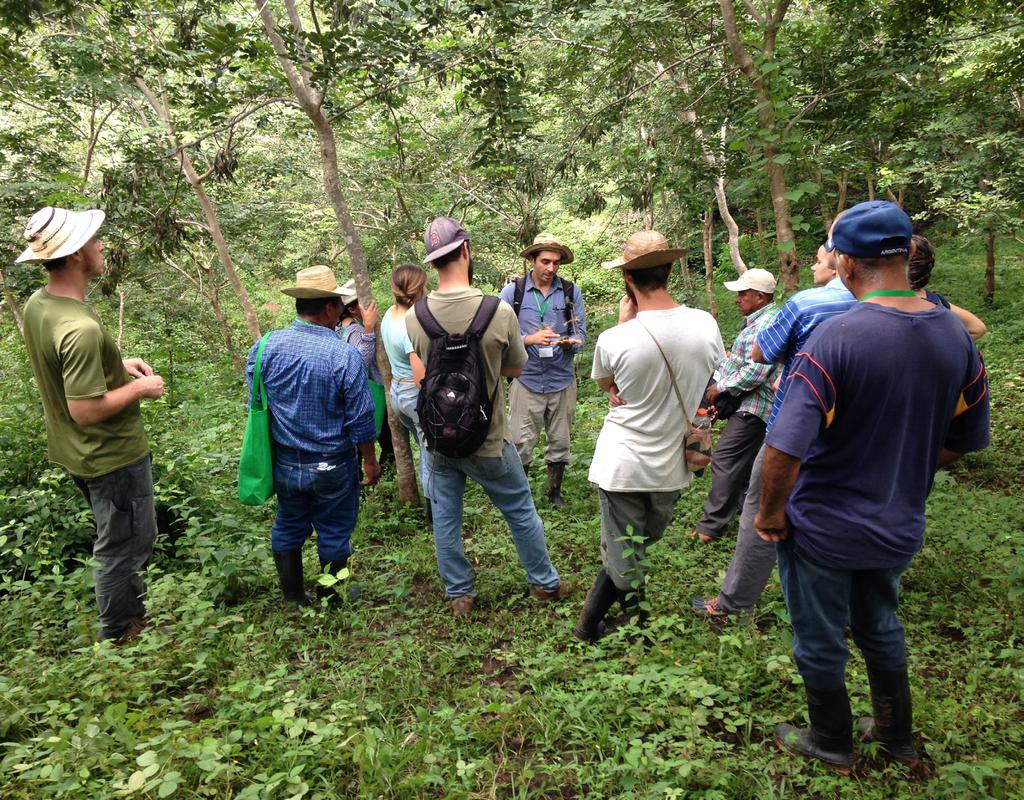 Saskia Santamaría - ELTI Field-Course Format: This course took place over five days at ELTI s Focal Training Sites in the tropical dry forest, located in the Province of Los Santos in the Azuero
