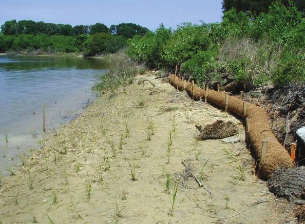 Fiber Logs Manufactured coconut fiber logs staked in front of or behind marsh vegetation to trap or retain sediments and reduce erosion.