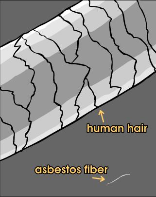 Health Effects Asbestos fibers are dangerous when inhaled.