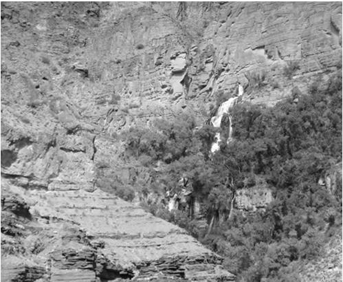 ly/pen1jt N. Fork Stillaguamish River Thunder River, Grand Canyon Oct 2006 Groundwater: Outline 1.