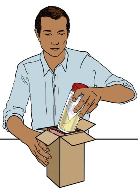 Place styrofoam into the rigid shipping box Step 3j: Put laboratory form / letter