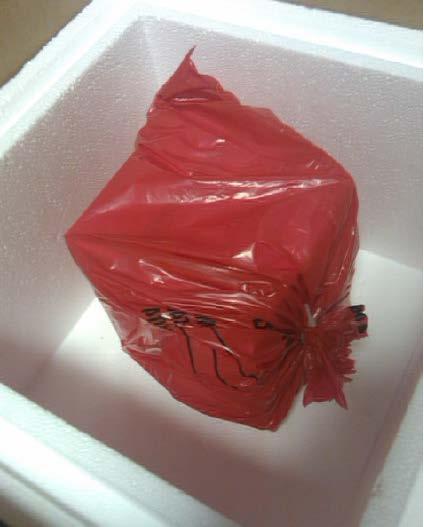 Place the biohazard bag on its side into the insulated Styrofoam shipping container with dry ice as shown below.