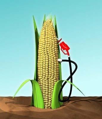 Ethanol Sources: Corn