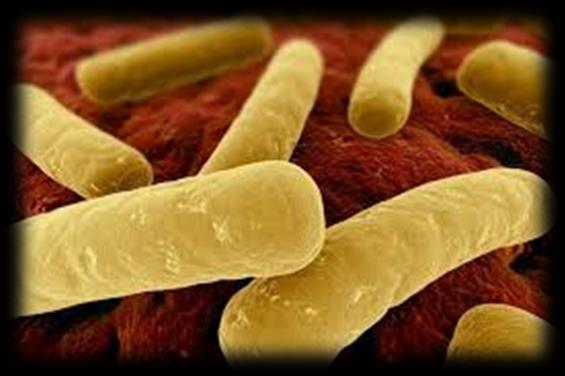 tract infection Soon after Tested positive for C. Diff.