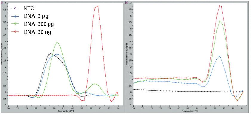 2.1 Examples of Optimization Effects, Continued Example 5: Additional Products Melting Curve Analysis allows differentiation of specific PCR product from non-specific products, such as primer dimers.