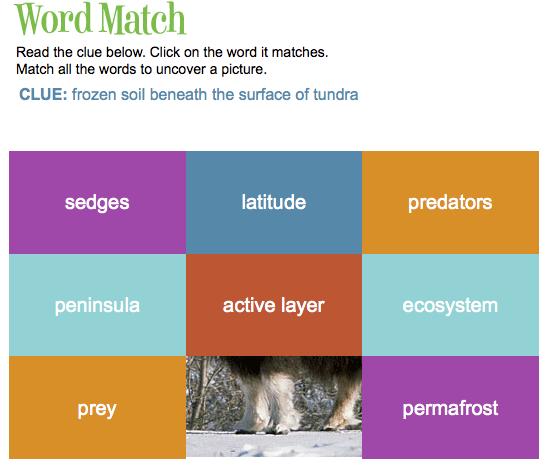 Trueflix also offers word match activity that can be done online.